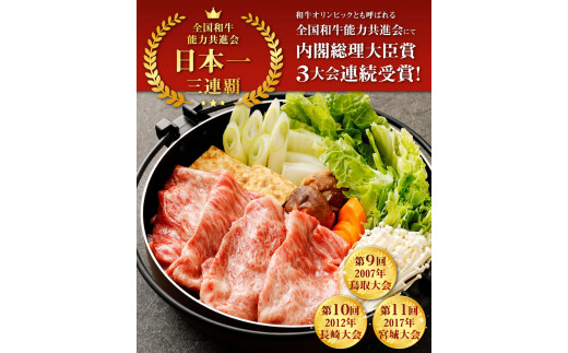 宮崎牛 焼肉 スライス 4点セット 合計約1kg 切り落とし 牛肉 