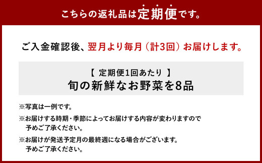 【3回定期便】特別栽培季節のお野菜セット 8品 野菜 新鮮 