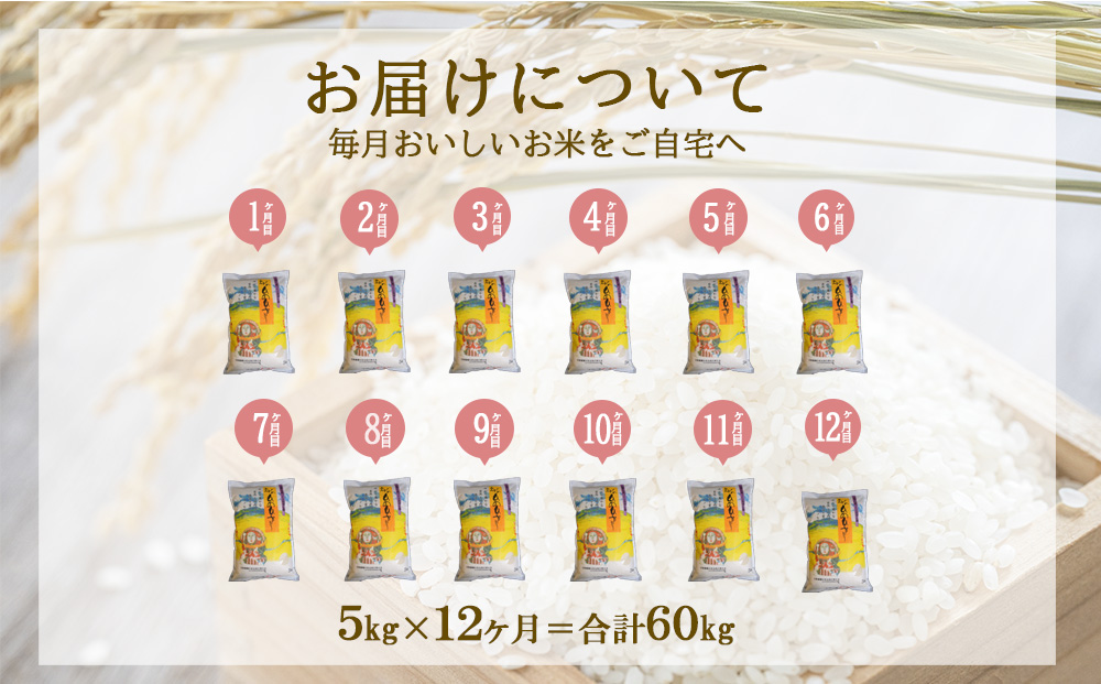 【年間定期便】えびの産 ひのひかり 5kg×12ヶ月 合計 60kg 米 