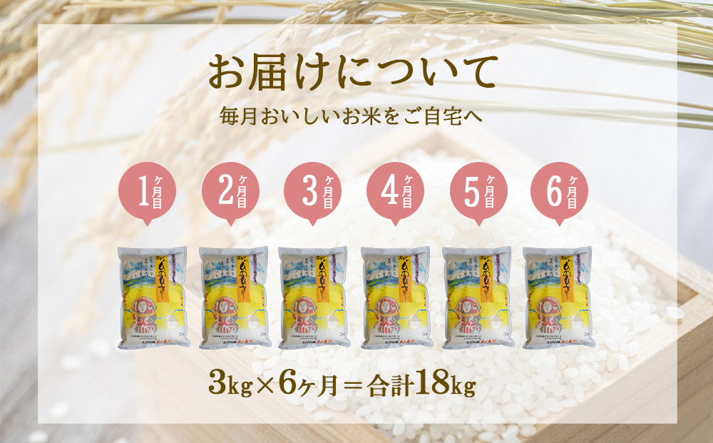 【半年定期便】えびの産 ひのひかり 3kg×6ヶ月 合計18kg 定期