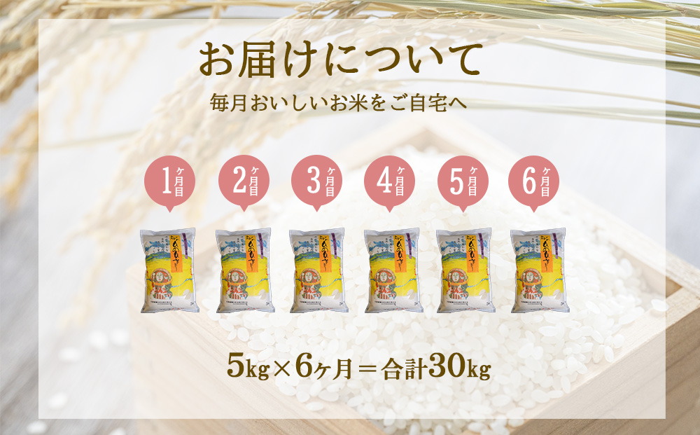 【半年定期便】えびの産 ひのひかり 5kg×6ヶ月 合計 30kg 定
