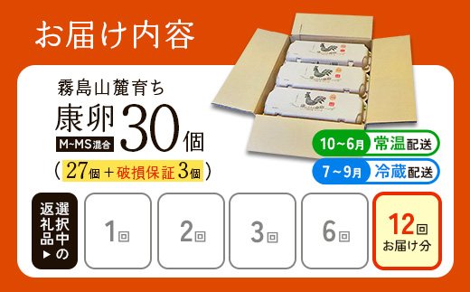 卵【12回定期便】霧島山麓育ち こだわり卵 康卵 計 30個（27