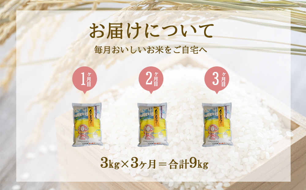【3ヶ月定期便】えびの産 ひのひかり 3kg×3ヶ月 合計 9kg 定