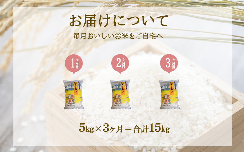 【3回定期便】米 えびの産 ひのひかり 5kg×3ヶ月 合計 15kg 米