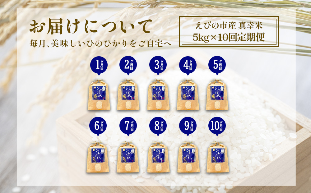 【令和7年産】【10回定期便】米 ひのひかり 5kg 合計 50kg 九