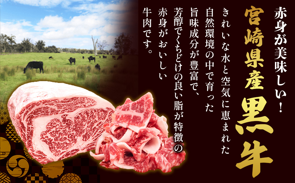 宮崎県産 黒牛 切り落とし 600g（300g×2パック） 赤身 牛肉 切