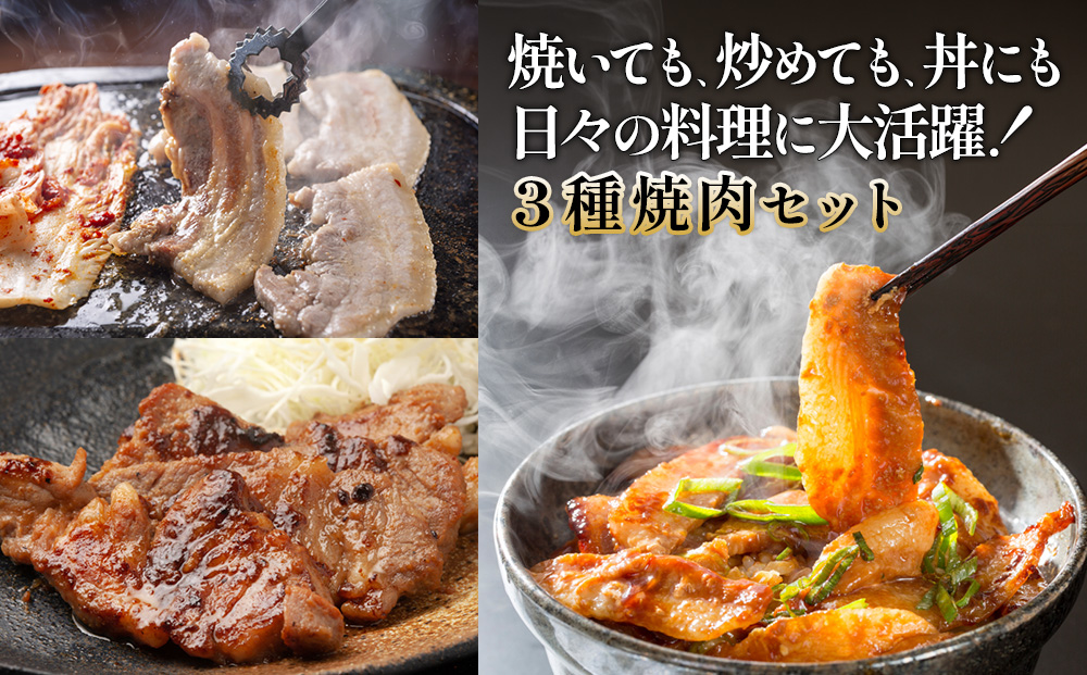 宮崎県産 豚肉 焼肉セット 3.6kg (1.2kg × 3回 定期便) 肩ロース