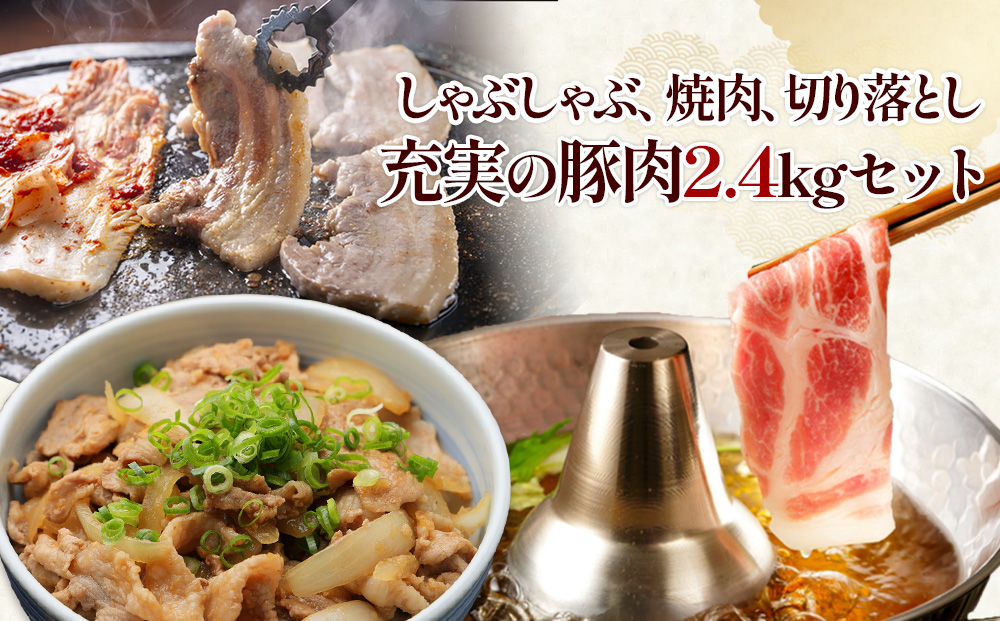 宮崎の旨みを凝縮！豚肉バラエティセット2.4kg（真空パック