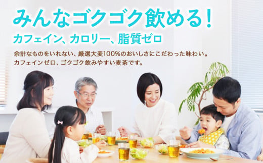 【2回定期便】やかんの麦茶 from 爽健美茶 PET 650ml 24本×2回 