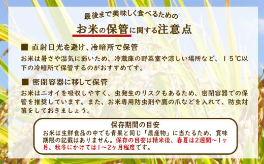 【令和7年度】限定品 えびの産 ヒノヒカリ 真幸米(まさきま
