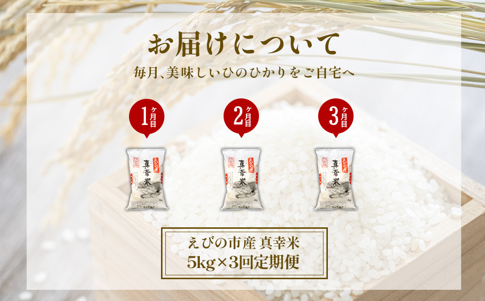 【定期便】限定品 えびの産 ヒノヒカリ 真幸米(まさきまい)