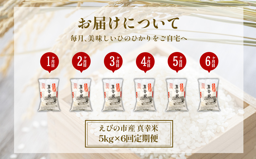 【定期便】限定品 えびの産 ヒノヒカリ 真幸米(まさきまい)
