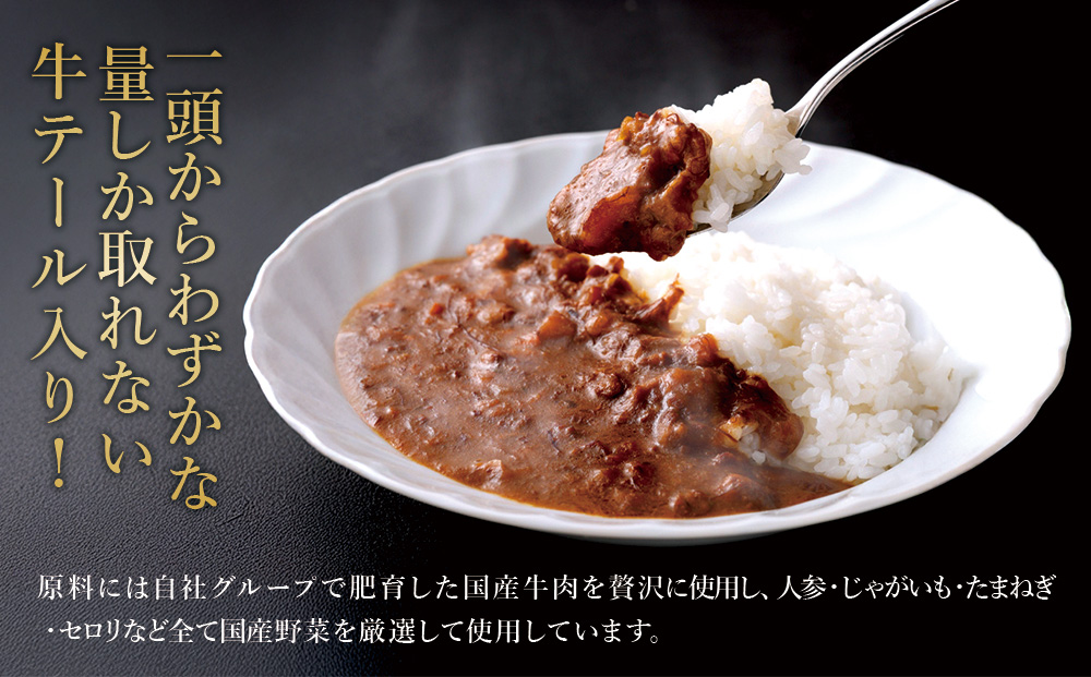 牛テール カレー セット レトルト 常温(170g × 6パック 計 1,02