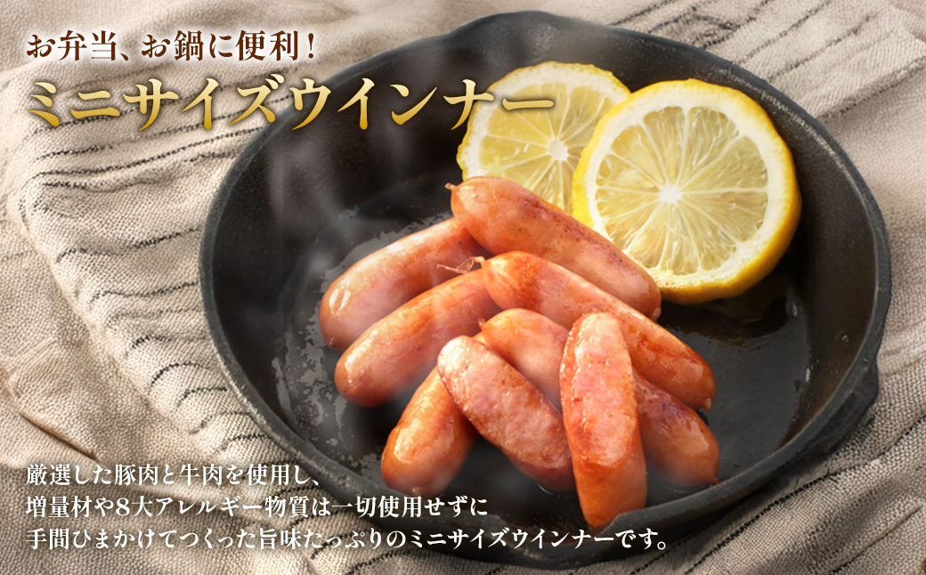 えびの高原 ミニサイズ ウインナー 80g×6パック 合計 480g 豚