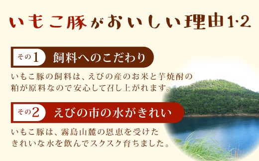 豚肉 宮崎県産 いもこ豚 しゃぶしゃぶ セット 3kg しゃぶし
