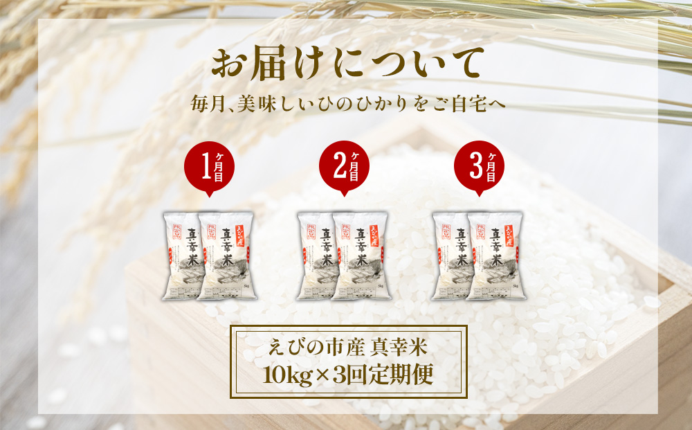 【定期便】限定品 えびの産 ヒノヒカリ 真幸米(まさきまい)