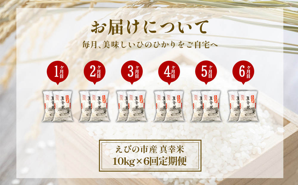 【定期便】限定品 えびの産 ヒノヒカリ 真幸米(まさきまい)