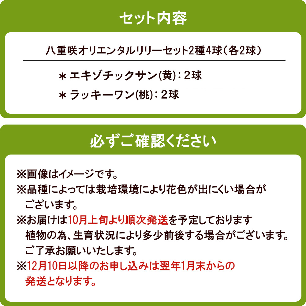 【ふるさと納税】ユリ球根 人気 八重咲 オリエンタルリリ