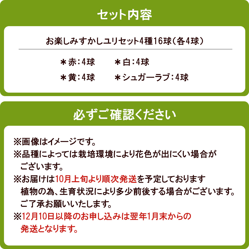 ユリ球根　お楽しみ すかし ユリ セット 4種 16球 送料無料 