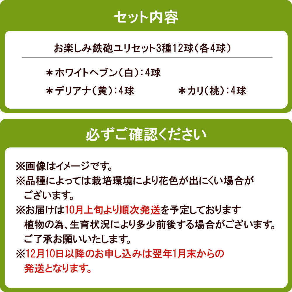 【ふるさと納税】ユリ球根　切花向き鉄砲ユリセット3種12