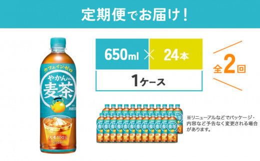 【2回定期便】やかんの麦茶 from 爽健美茶 PET 650ml 24本×2回 
