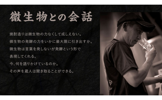 【宮崎焼酎】「？ないな」900ml×2本セット 芋焼酎  宮崎県産
