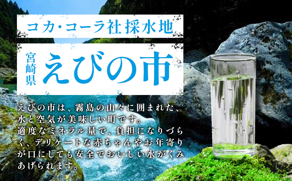 【2回定期便】やかんの濃麦茶 from 爽健美茶 600ml PET×24本（