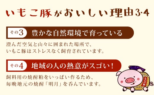 【6回定期便】豚肉 宮崎県産 いもこ豚 しゃぶしゃぶ セット