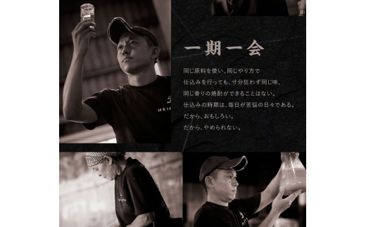 宮崎焼酎 えびのいそじ 720ml × 2本 セット 本格焼酎 えびの