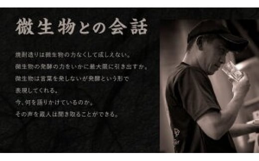 宮崎焼酎 芋焼酎 明月 5種類 飲み比べ オリジナルグラス付 9