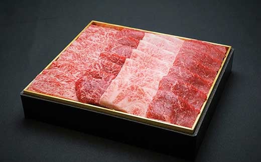 宮崎牛 切り落とし 霜降り ＆ 赤身 焼肉セット 700g カルビ 