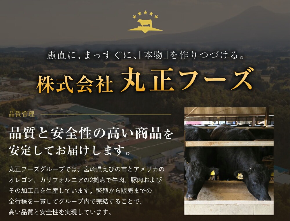 牛テール カレー セット レトルト 常温(170g × 6パック 計 1,02