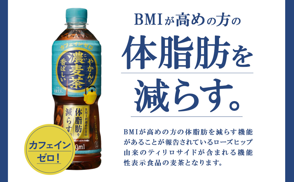 【2回定期便】やかんの濃麦茶 from 爽健美茶 600ml PET×24本（