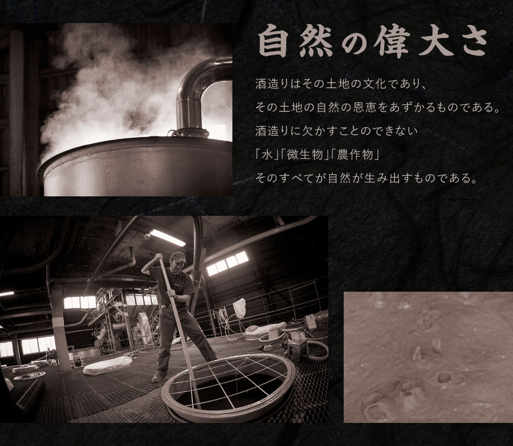 焼酎「いその波平 サザエさん公認 本格いも焼酎」720ml 1本 