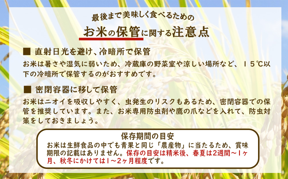 【12回定期便】米 えびの産 ひのひかり 10kg×12ヶ月 合計 120kg