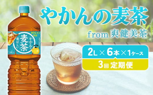 【3回定期便】やかんの麦茶 from 爽健美茶 PET 1ケース 2L×6本