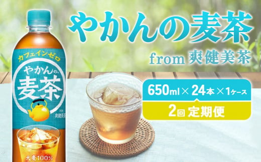 【2回定期便】やかんの麦茶 from 爽健美茶 PET 650ml 24本×2回 