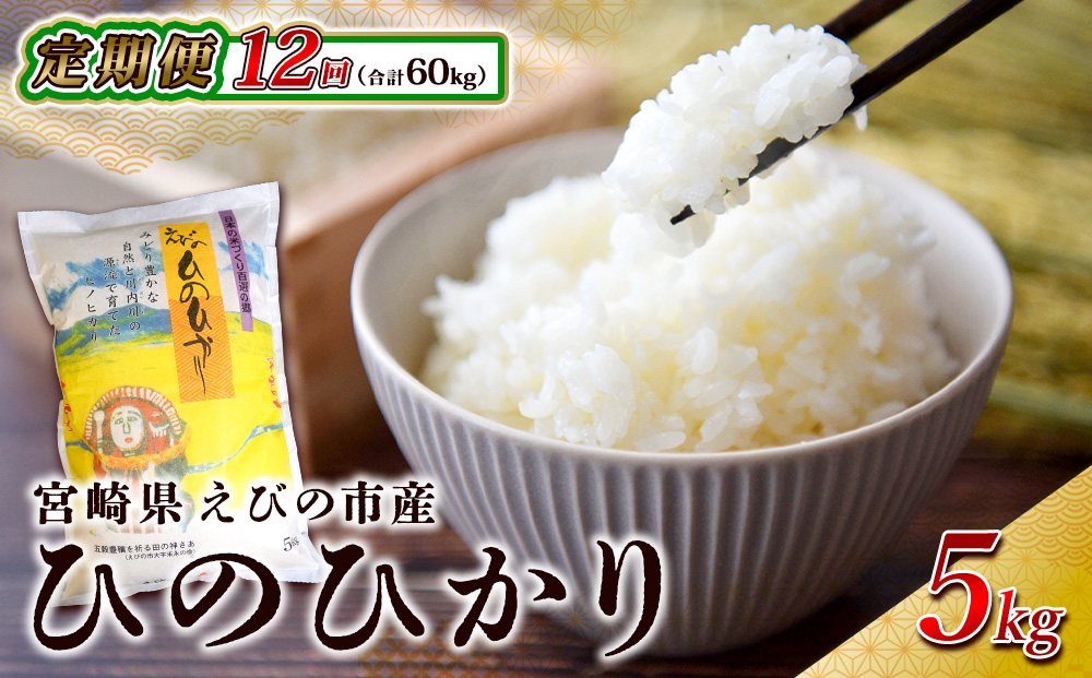 【年間定期便】えびの産 ひのひかり 5kg×12ヶ月 合計 60kg 米 