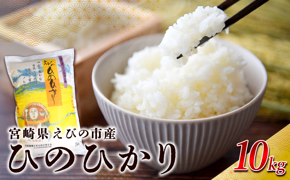 【令和7年産】米 えびの産 ひのひかり 10kg 米 お米 精米 白