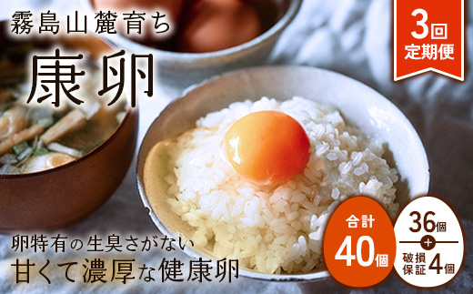 【ふるさと納税】卵【3回 定期便】霧島山麓育ち こだわり