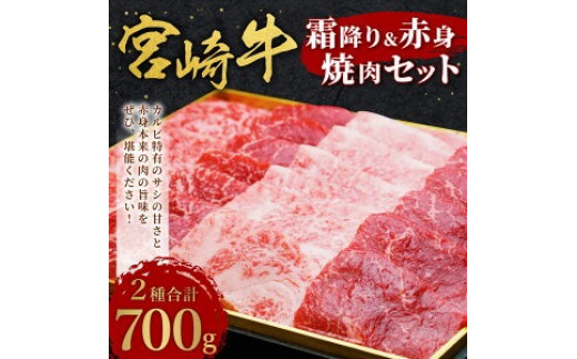 宮崎牛 切り落とし 霜降り ＆ 赤身 焼肉セット 700g カルビ