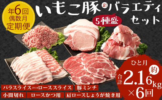 [訳あり]豚肉[定期便年6回/偶数月発送]いもこ豚(彩) 5種盛り バラエティセット 2.16kg バラスライス バラ 小間切れ 細切れ こま切れ ロース 肩ロース しゃぶしゃぶ スライス 豚ミンチ 豚肉 いもこ豚 セット 詰合せ 生姜焼き 焼肉 サムギョプサル ポッサム 豚丼 とんかつ 鉄板 ホットプレート パ