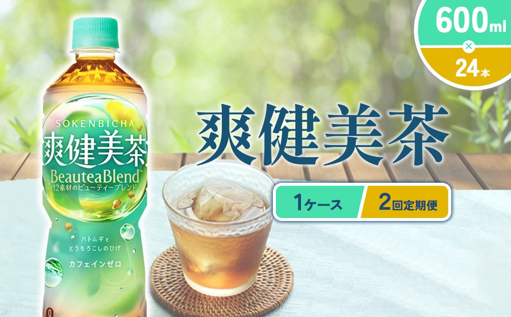 （2回定期便）爽健美茶 600ml PET【コカ・コーラ】ペットボト