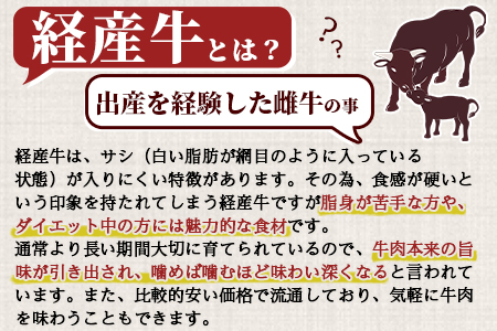 ＜宮崎県産黒毛和牛（経産牛）ヒレステーキ4枚＞(計約600g・約150g×4P)マキシマムスパイス(小袋)付き 国産 九州産 牛肉 精肉 ヒレ フィレ  赤身 希少部位 ステーキ 焼肉 アウトドア 調味料 お祝い 誕生日 結婚記念日 贈り物 ギフト【MI025-nk】【中村食肉】