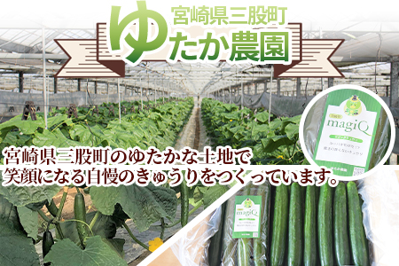 ＜【先行予約】【期間限定】宮崎県産きゅうり(約2kg)＞(約2kg・3本入り×5袋)【MI149-yt】【ゆたか農園】