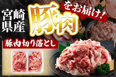 ＜宮崎県産豚肉バラエティーセット 合計3.6kg＞ BBQ特集 【MI193-hr】【肉の豊楽】