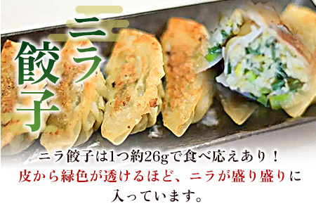 【数量限定！】＜福栄生餃子店餃子4種(ニラ・ごぼう・ニンニク・エビチーズ)セット＞【MI286-fu】【福栄生餃子店】