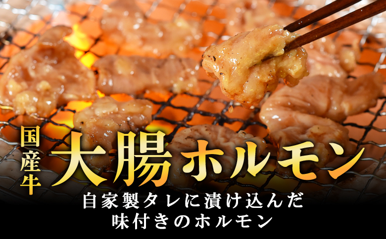 ＜【訳あり】国産牛ホルモン大腸（特製タレ漬け）計800g(400g×2袋)＞大腸を秘伝の特製タレに漬け込みました！【MI427-nk】【中村食肉】 計800g(400g×2袋)