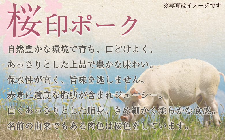 ＜桜印ポーク ロースかつ用20枚 約2kg＞ 国産 ブランド ぶたにく お肉 ブタ 精肉 ロース カツ トン空冷凍 切り身 選べる数量 詰合せカツ  使いやすい パック 真 お弁当 惣菜 揚げ物 トンテキ BBQ バーベキュー 小分け  【MI458-tr】【TRINITY】 桜印ポーク ロースかつ	