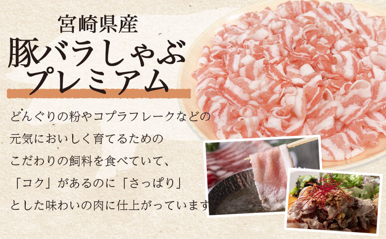 ＜豚バラしゃぶプレミアム 約1.2kg＞ 国産 豚肉 ぶたにく お肉  焼き肉 ブタ しゃぶしゃぶ  使いやすい 小分け パック 真空冷凍 お弁当 ジューシー 肉質 柔らかい 上品 豊かな味わい 味彩豚 ブランド 数量限定 【MI468-tr】【TRINITY】 豚肉バラしゃぶプレミアム 約1.2kg	